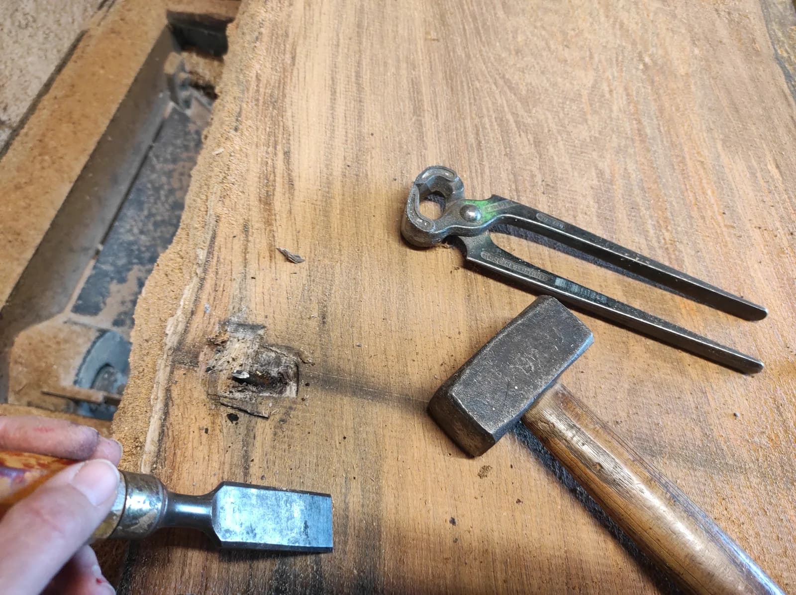 Fundstücke im Holz entfernen
